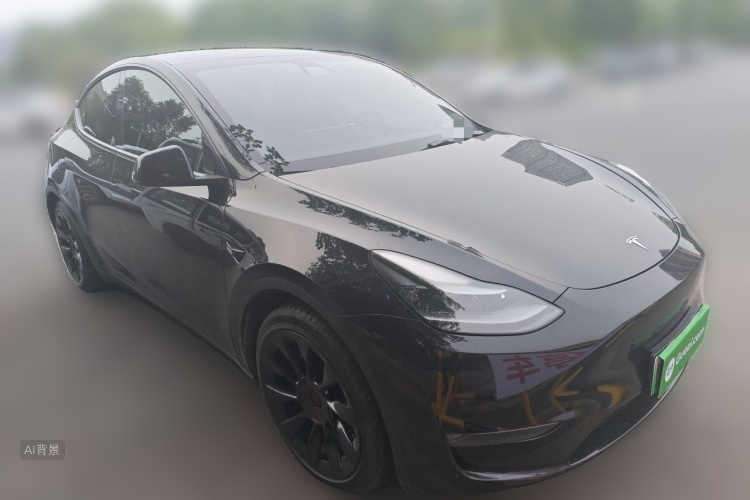 Tesla Model Y 2021 car image #4