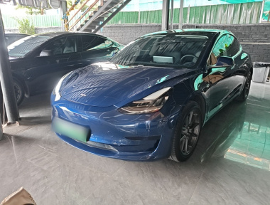 Tesla Model 3 2020 Tesla Model 3 2020 car image
