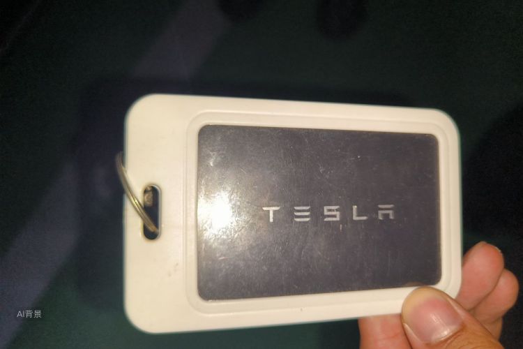 Tesla Model Y 2021 car image #10