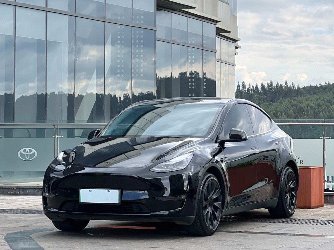 Tesla Model Y 2021 Tesla Model Y 2021 car image