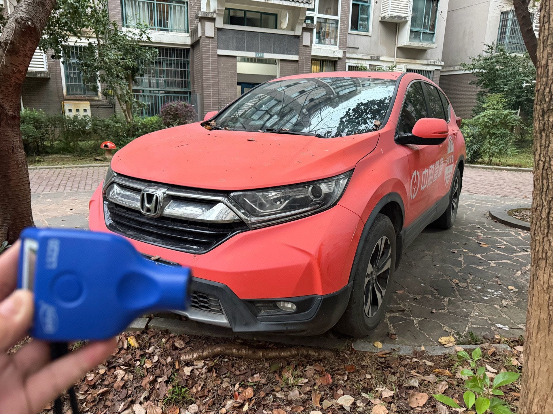 2019 immagine di auto 