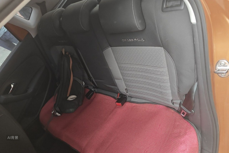 Volkswagen Polo 2015 car image #19