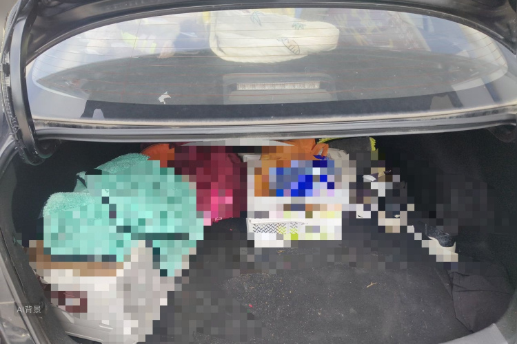 Toyota Corolla 2020 car image #21