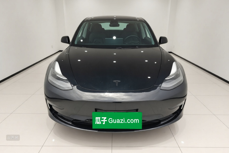 Tesla Model 3 2020 #3 Tesla Model 3 2020 car image #3