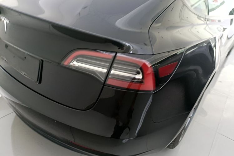 Tesla Model 3 2021 #8 Tesla Model 3 2021 car image #8