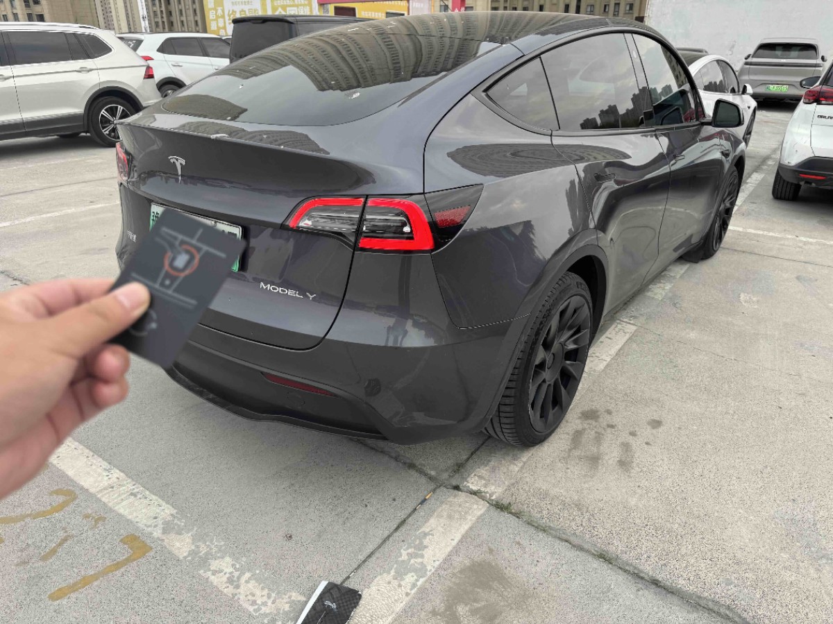 Tesla Model Y 2021 car image #6