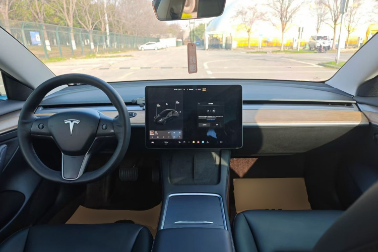 Tesla Model 3 2022 car image #10