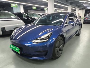 Tesla Model 3 2020 Tesla Model 3 2020 immagine di auto