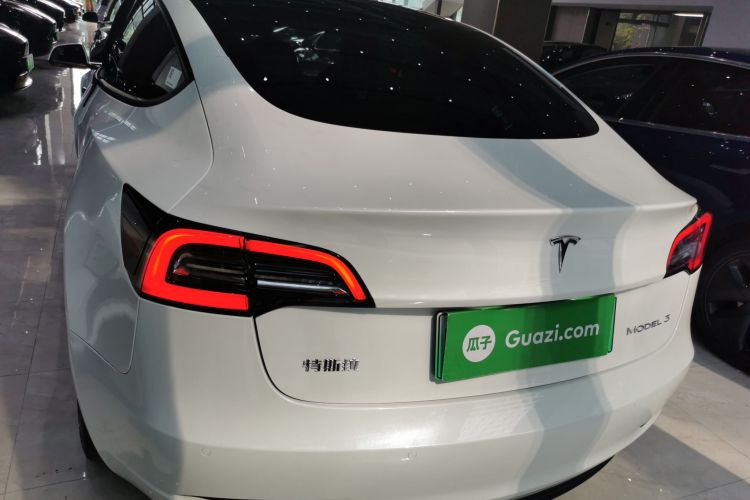 Tesla Model 3 2021 #6 Tesla Model 3 2021 car image #6