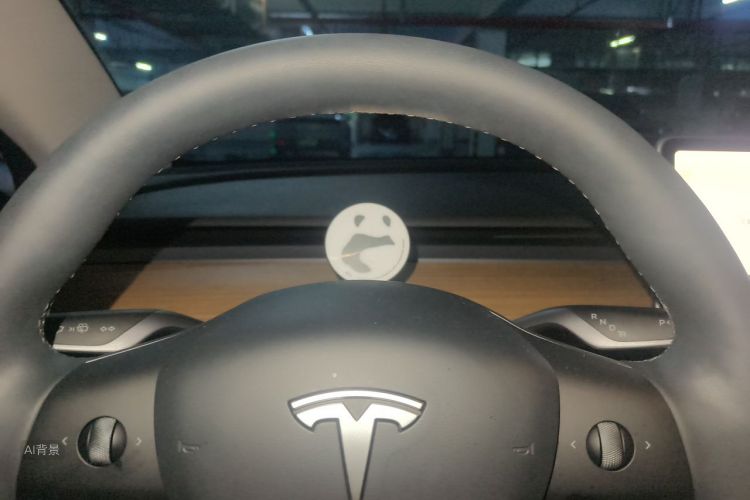 Tesla Model 3 2023 car image #13