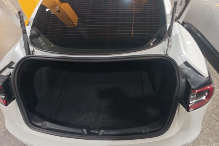 Tesla Model 3 2021 #21 Tesla Model 3 2021 car image #21