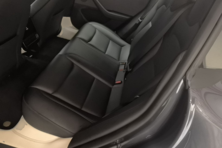 Tesla Model 3 2024 car image #13