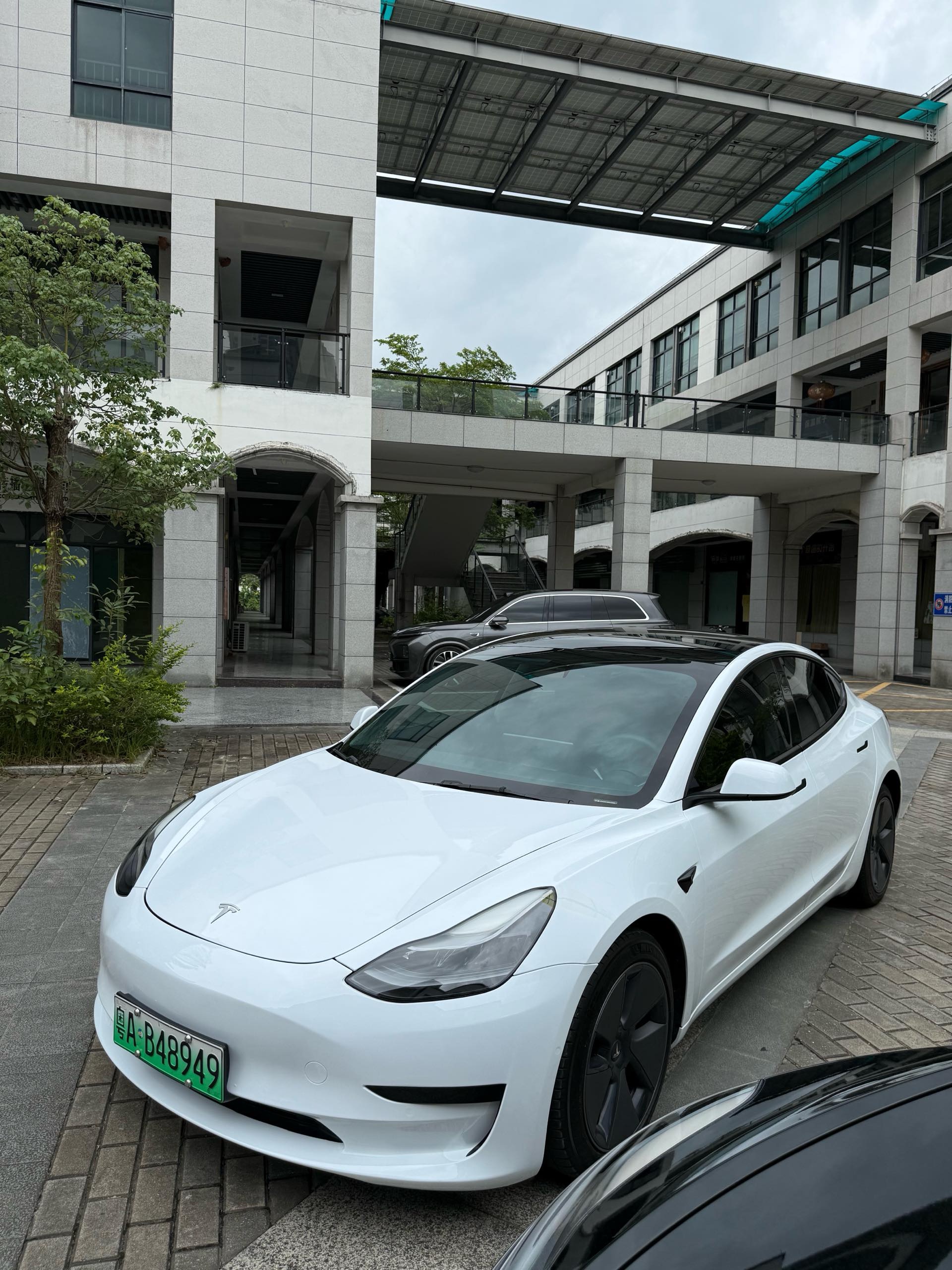 Tesla Model 3 2021 Tesla Model 3 2021 car image