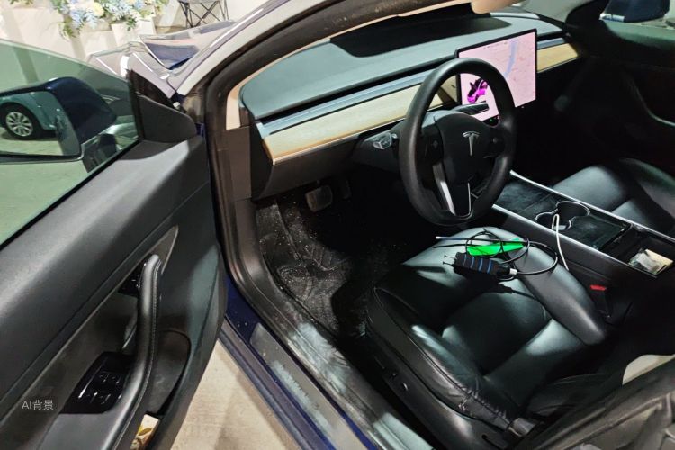 Tesla Model 3 2020 car image #18