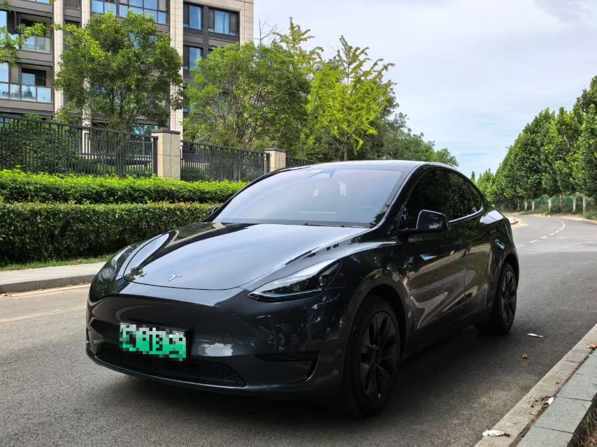 Tesla Model Y 2024 Tesla Model Y 2024 car image