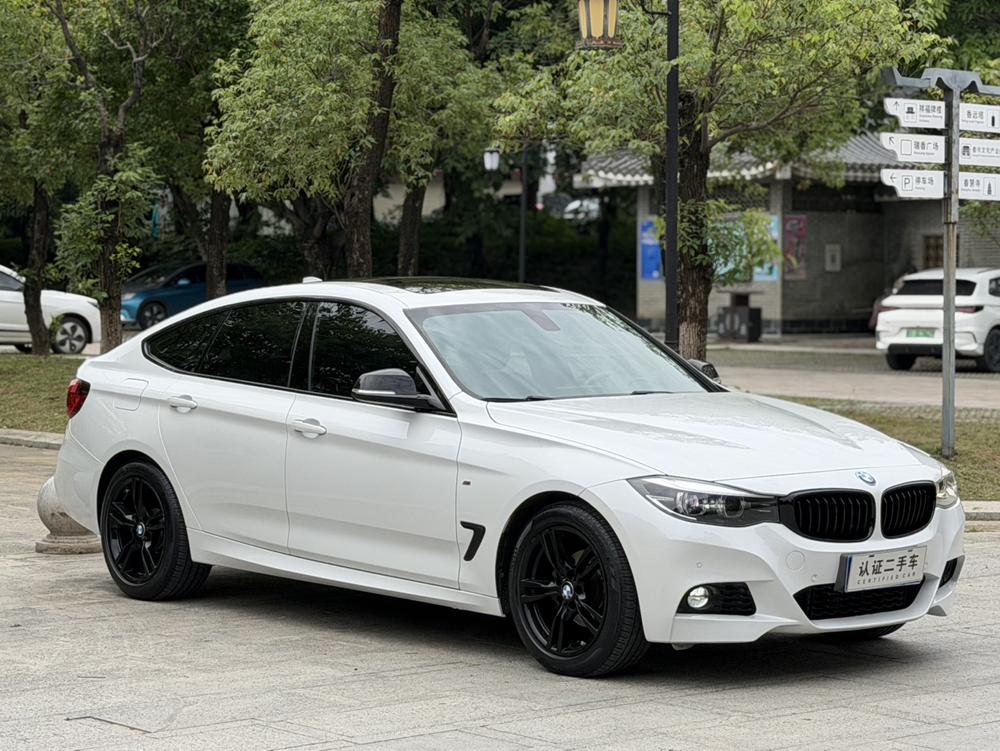 BMW 3 Series GT 2019 car image #3