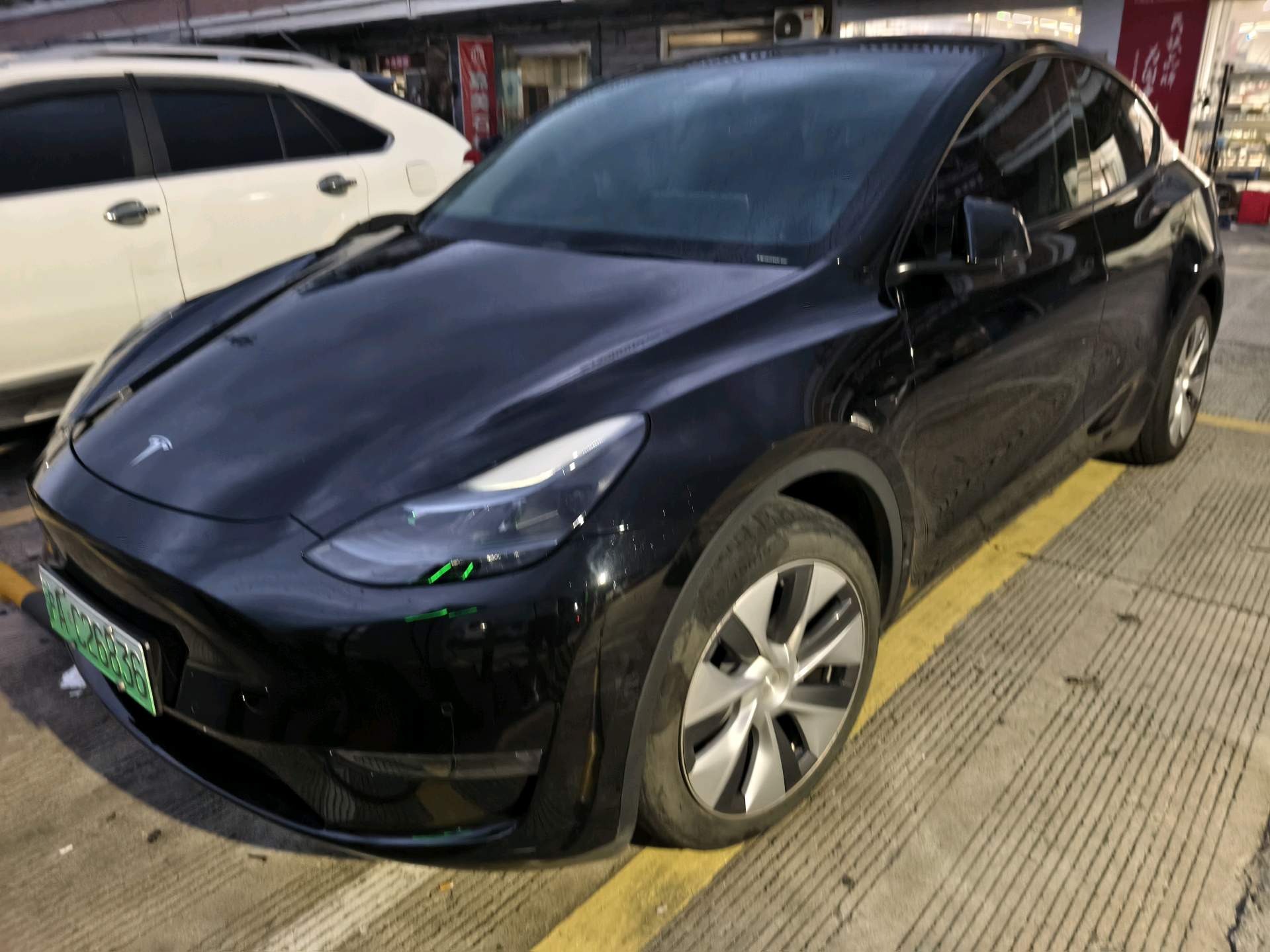 Tesla Model Y 2023 Tesla Model Y 2023 car image