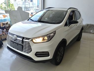 BYD Yuan New Energy 2019 car image 