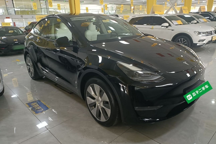 Tesla Model Y 2021 car image #6