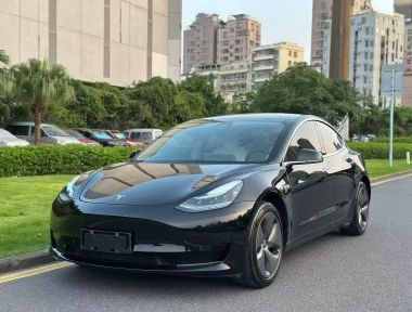 Tesla Model 3 2020 Tesla Model 3 2020 car image