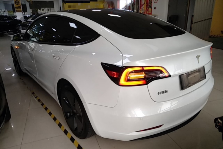 Tesla Model 3 2021 #5 Tesla Model 3 2021 car image #5