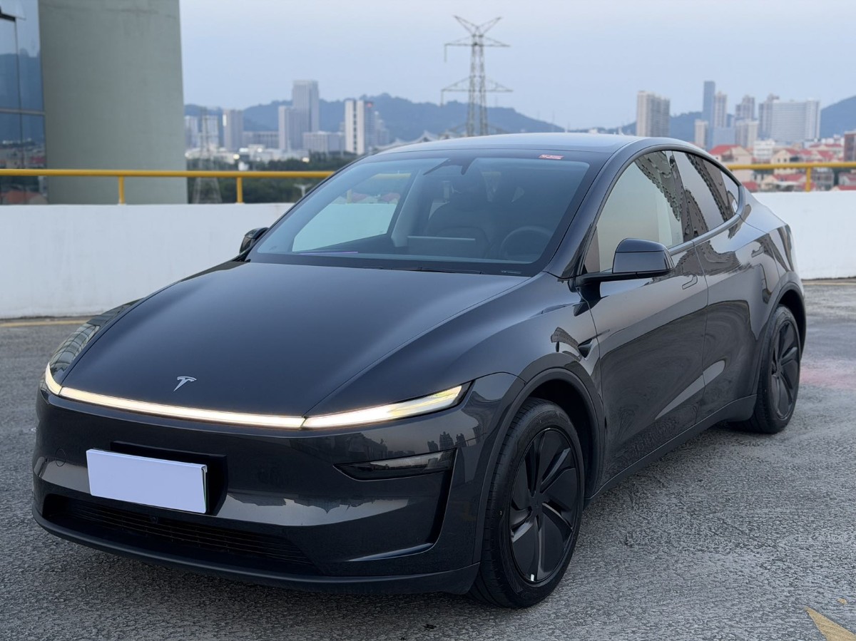 Tesla Model Y 2025 Tesla Model Y 2025 car image