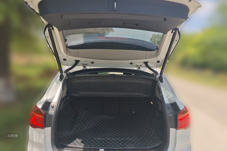 BMW X1 2017 car image #21