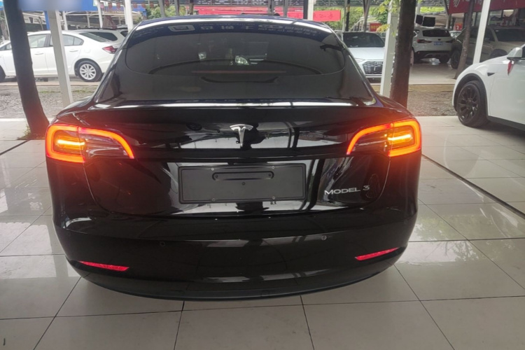 Tesla Model 3 2023 car image #6