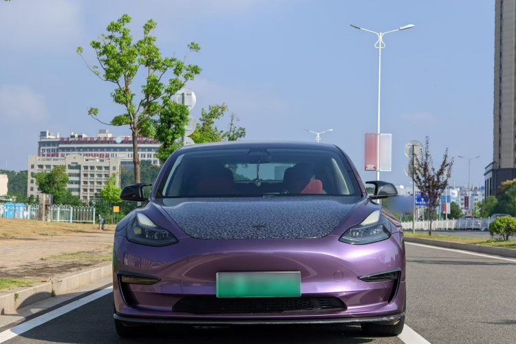 Tesla Model 3 2021 #3 Tesla Model 3 2021 car image #3