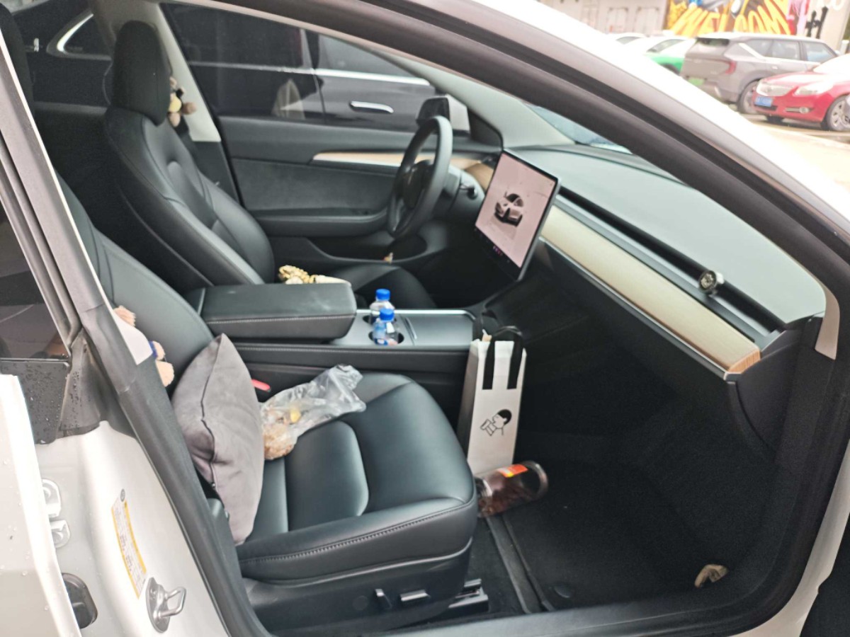 Tesla Model 3 2023 car image #3