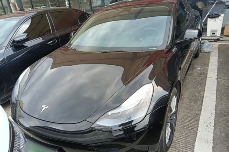 Tesla Model 3 2023 #3 Tesla Model 3 2023 car image #3