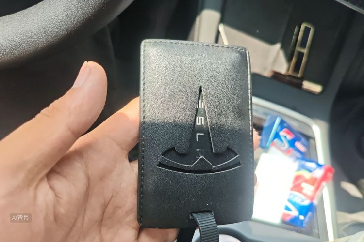 Tesla Model 3 2023 car image #10