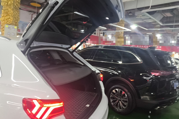 Audi Q3 2020 car image #19