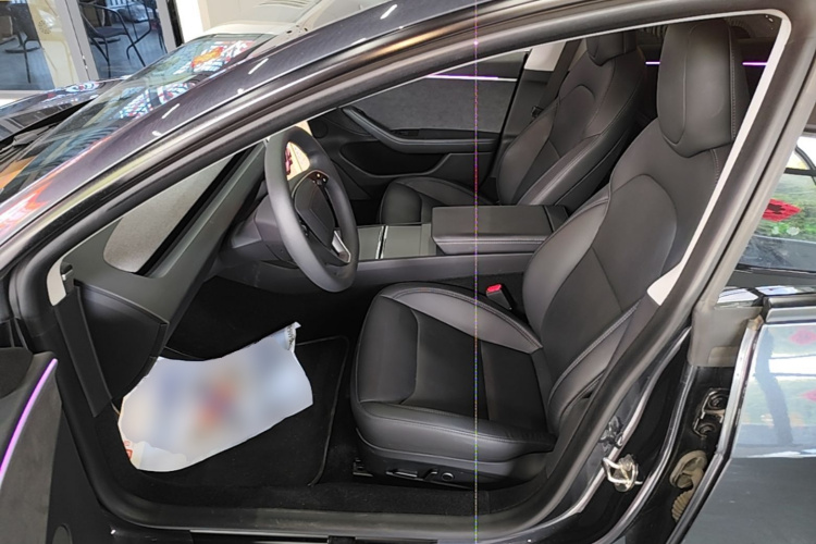 Tesla Model 3 2024 car image #12