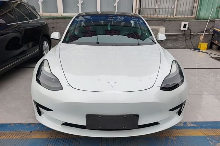 Tesla Model 3 2021 #3 Tesla Model 3 2021 car image #3