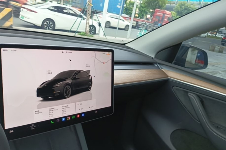 Tesla Model Y 2022 #10 Tesla Model Y 2022 car image #10