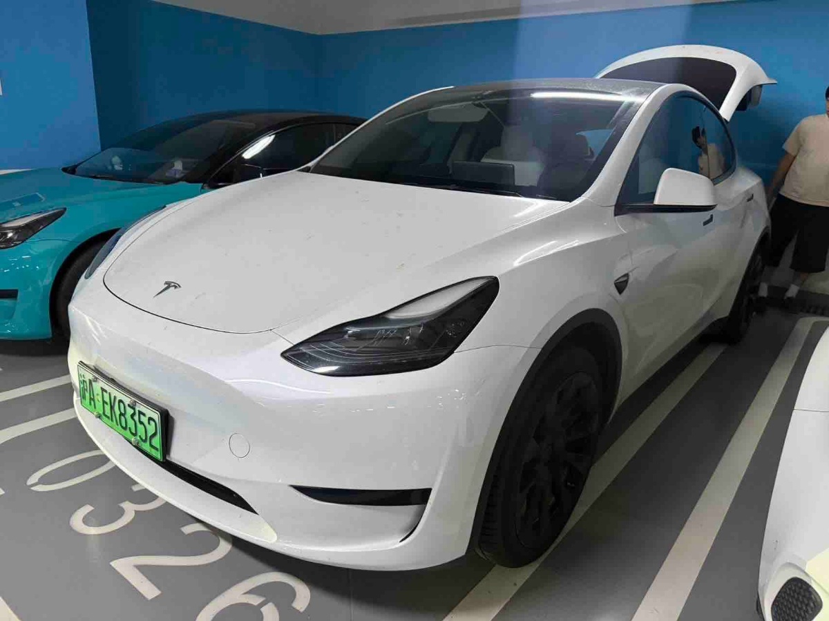 Tesla Model Y 2024 Tesla Model Y 2024 car image
