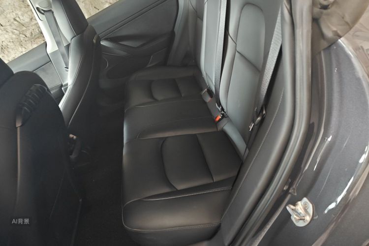 Tesla Model 3 2021 car image #19