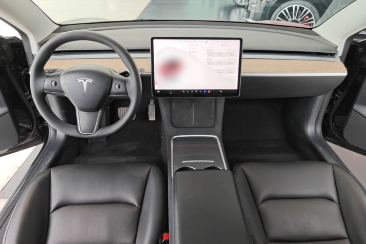 Tesla Model 3 2021 car image #10