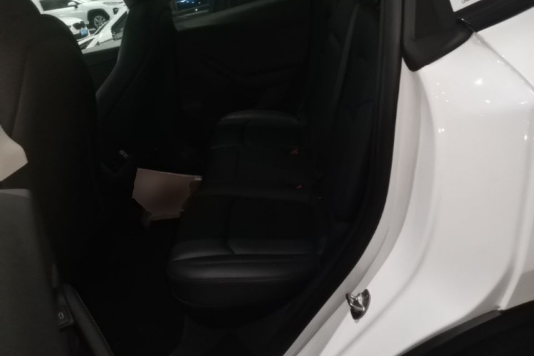 Tesla Model Y 2024 car image #10