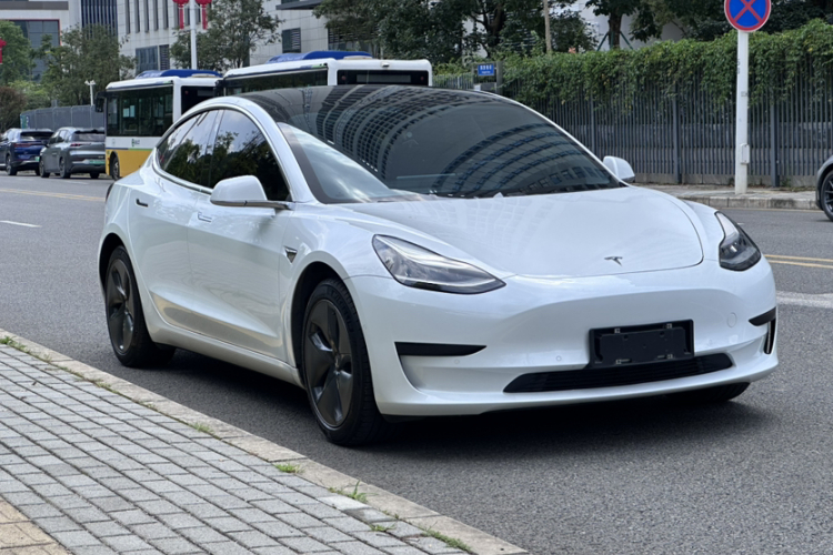 Tesla Model 3 2020 car image #4