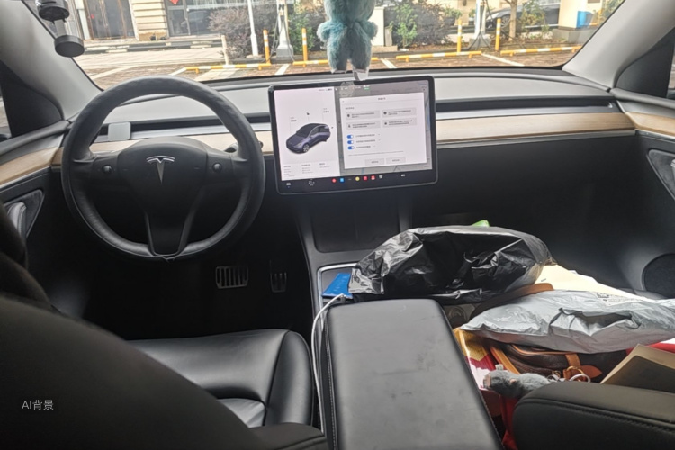 Tesla Model Y 2021 car image #11
