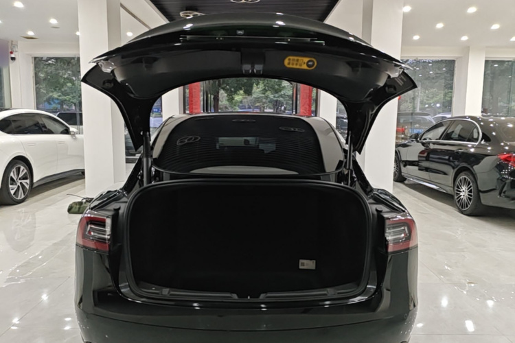 Tesla Model 3 2021 car image #19