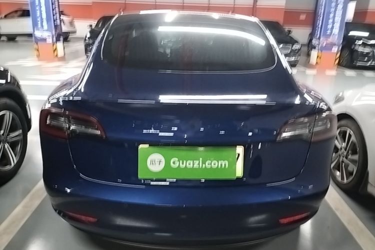 Tesla Model 3 2020 imagen de coche #4