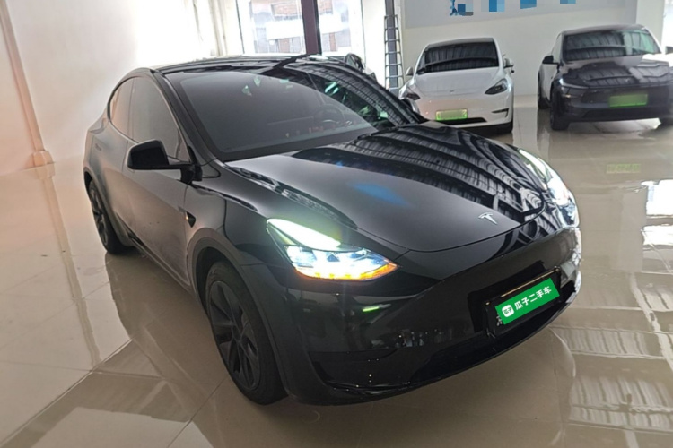 Tesla Model Y 2024 #4 Tesla Model Y 2024 car image #4