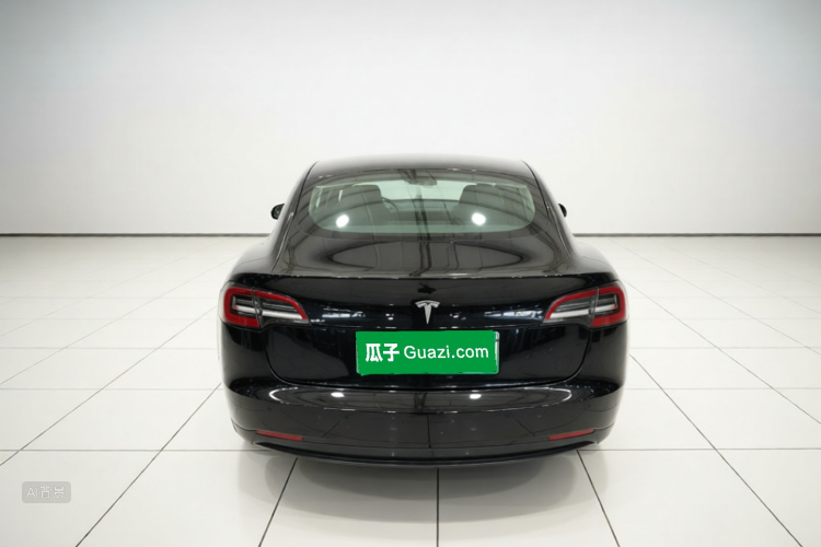 Tesla Model 3 2021 car image #6
