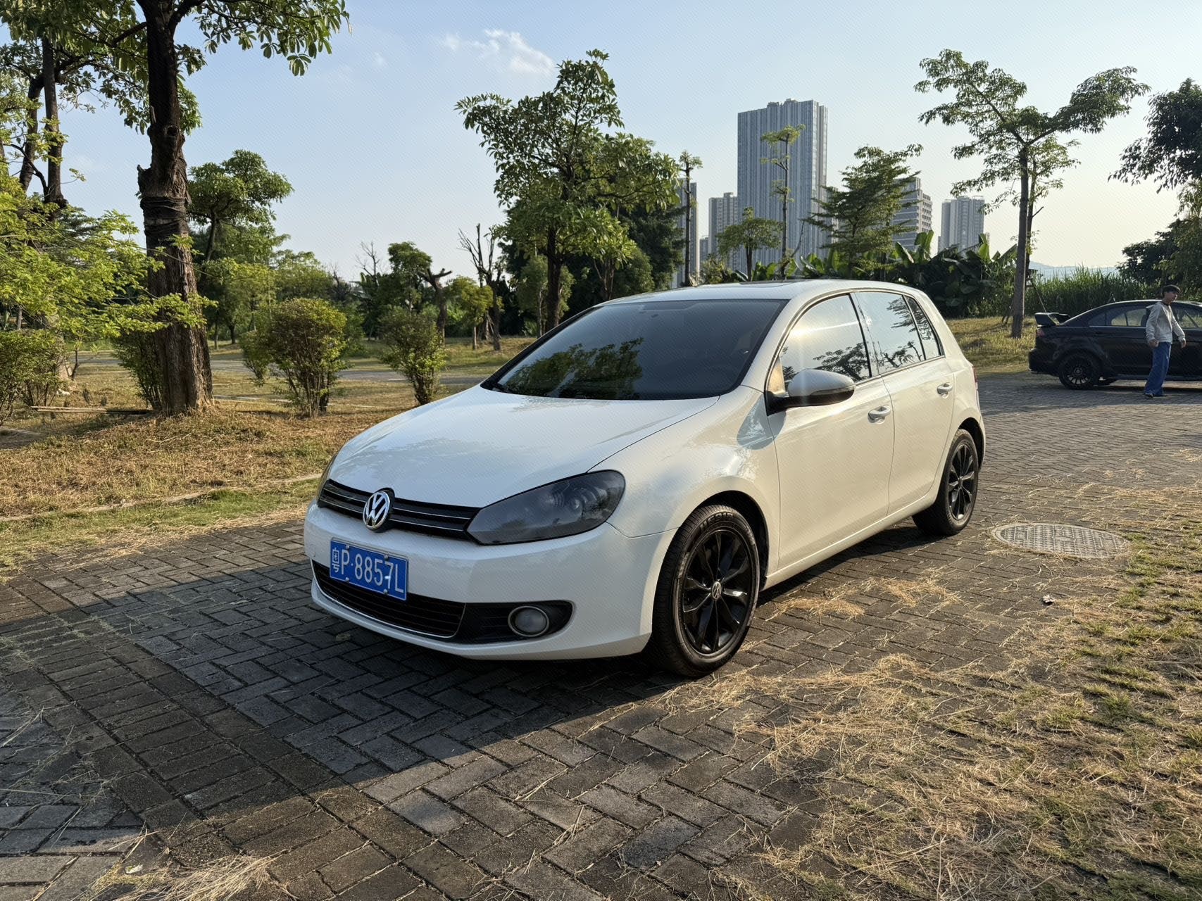 Volkswagen Golf 2013 car image 