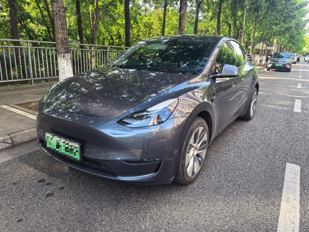 Tesla Model Y 2021 car image 