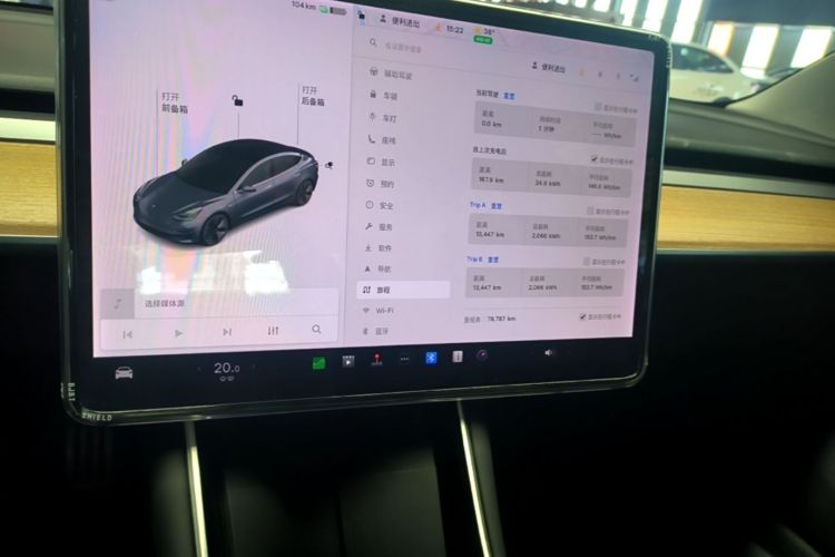 Tesla Model 3 2020 car image #13