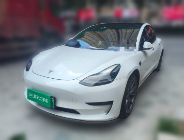 Tesla Model 3 2021 immagine di auto 